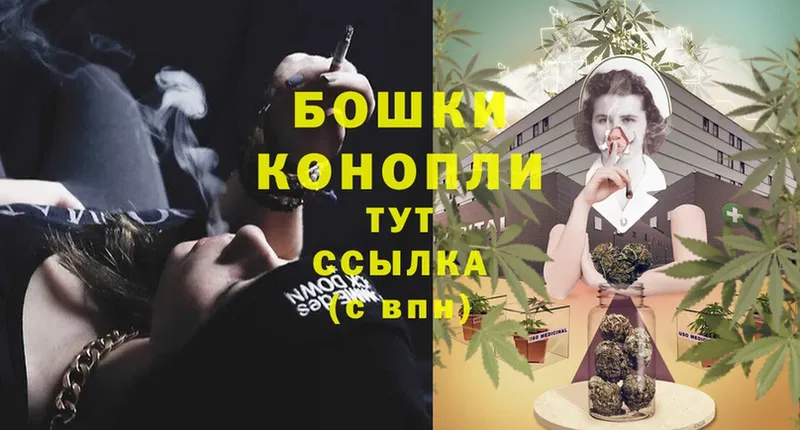 магазин продажи наркотиков  Канаш  сайты даркнета состав  Марихуана SATIVA & INDICA 